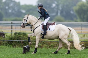 Bild 222 - Pony Akademie Turnier